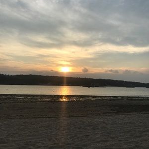 Meet your Posher, Stella